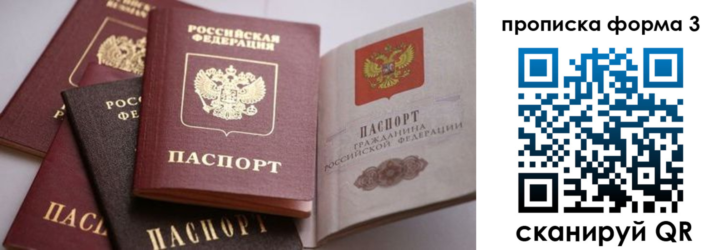 прописка для школы в Сердобске